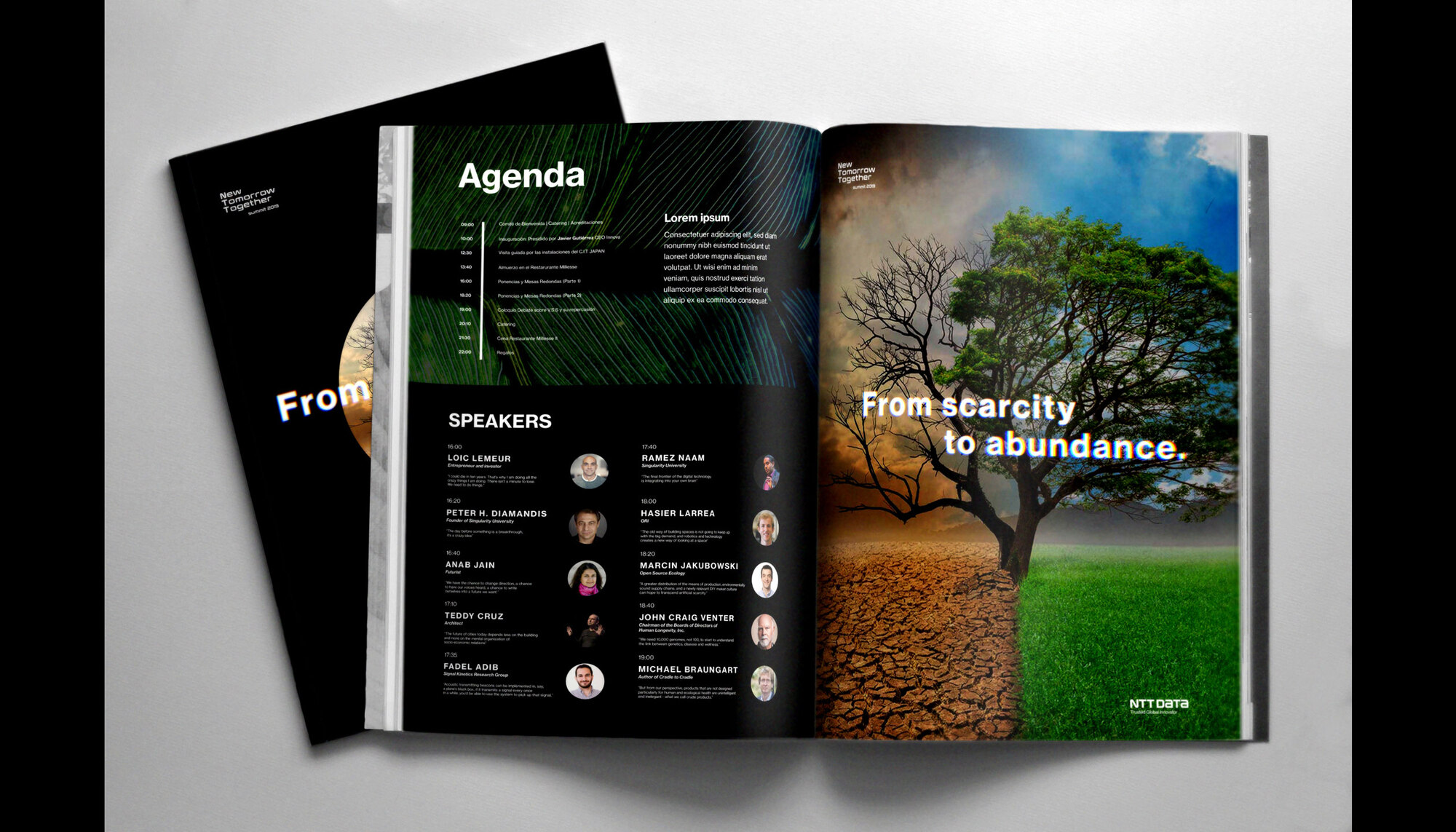 NTT DATA — programa impreso
