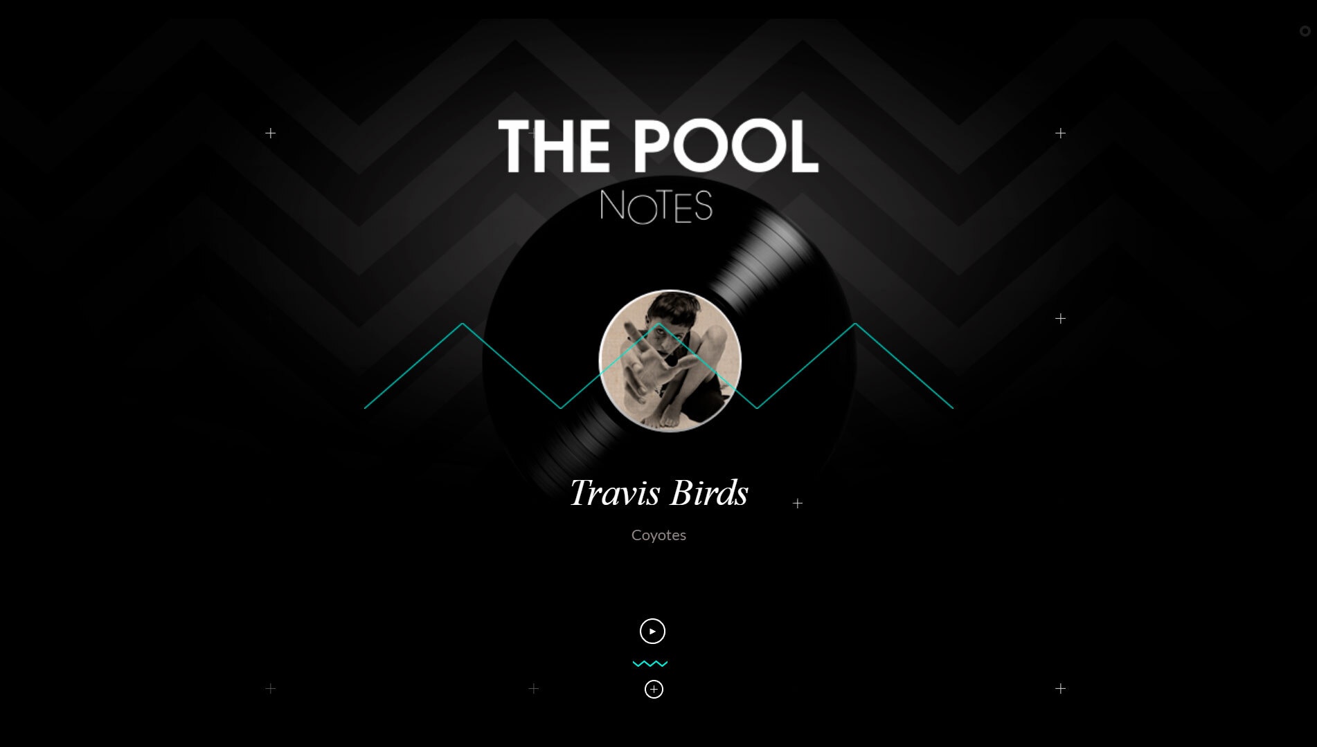 The Pool Studios — Notes (Travis Birds)