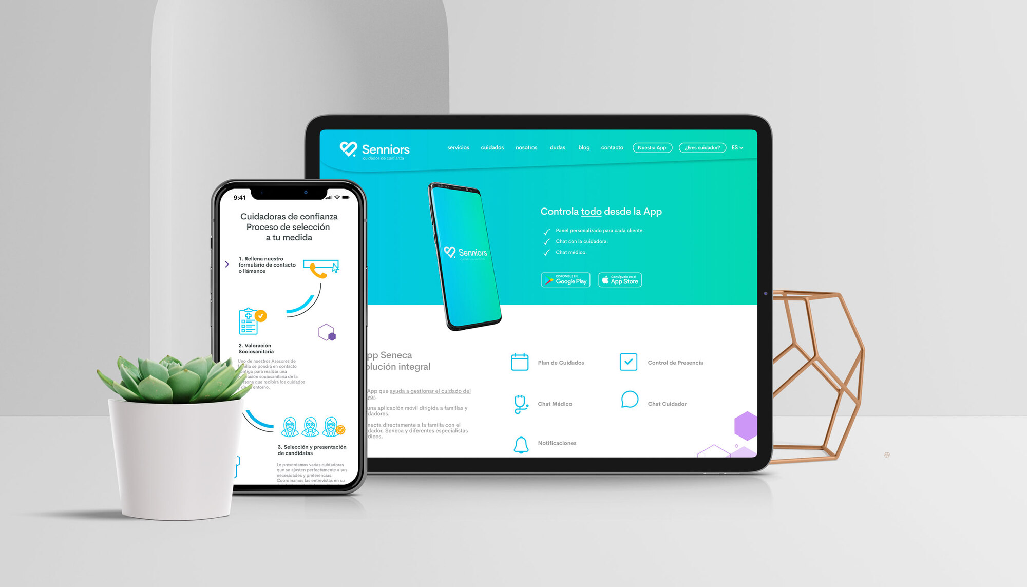 Senniors — responsive